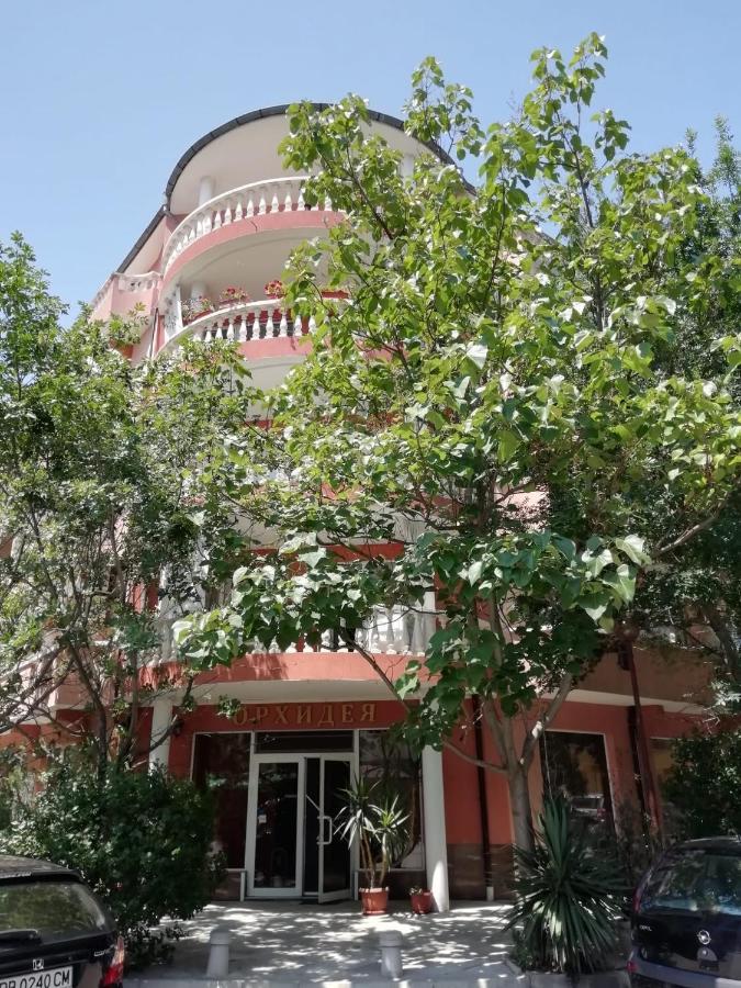 Art Guest House Orchidea Ahyolu Dış mekan fotoğraf