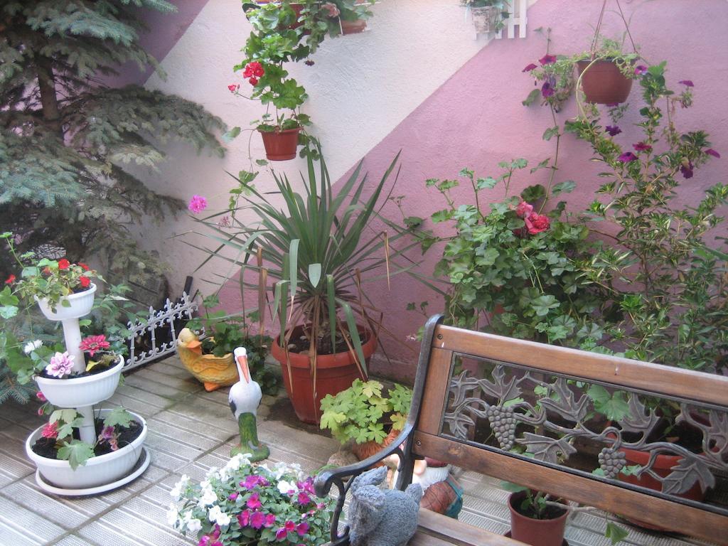 Art Guest House Orchidea Ahyolu Dış mekan fotoğraf